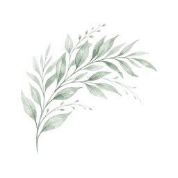 decoration